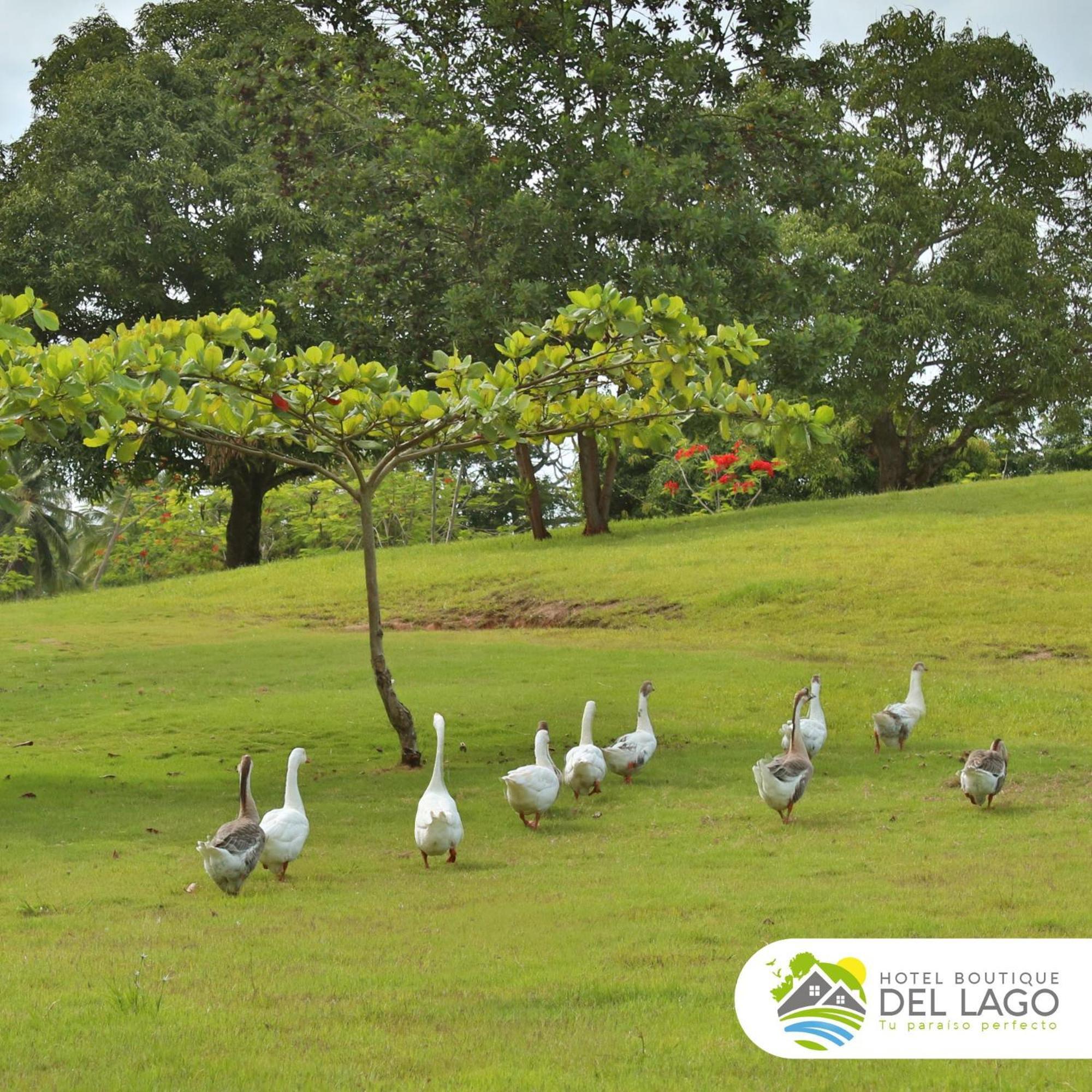 Hotel Boutique Del Lago Nagua Exteriér fotografie